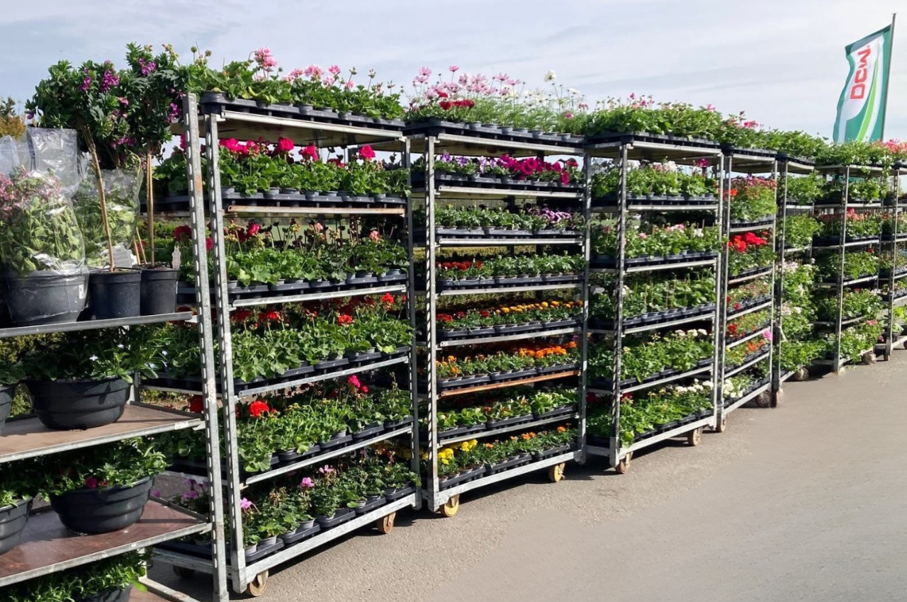 Aanleg van een tuin door hoveniersbedrijf Paardekooper in Kloetinge