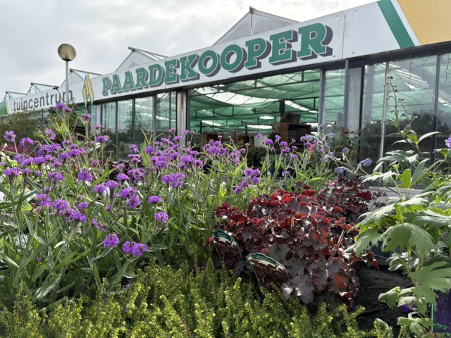 2 Aanleg van een tuin door hoveniersbedrijf Paardekooper in Kloetinge