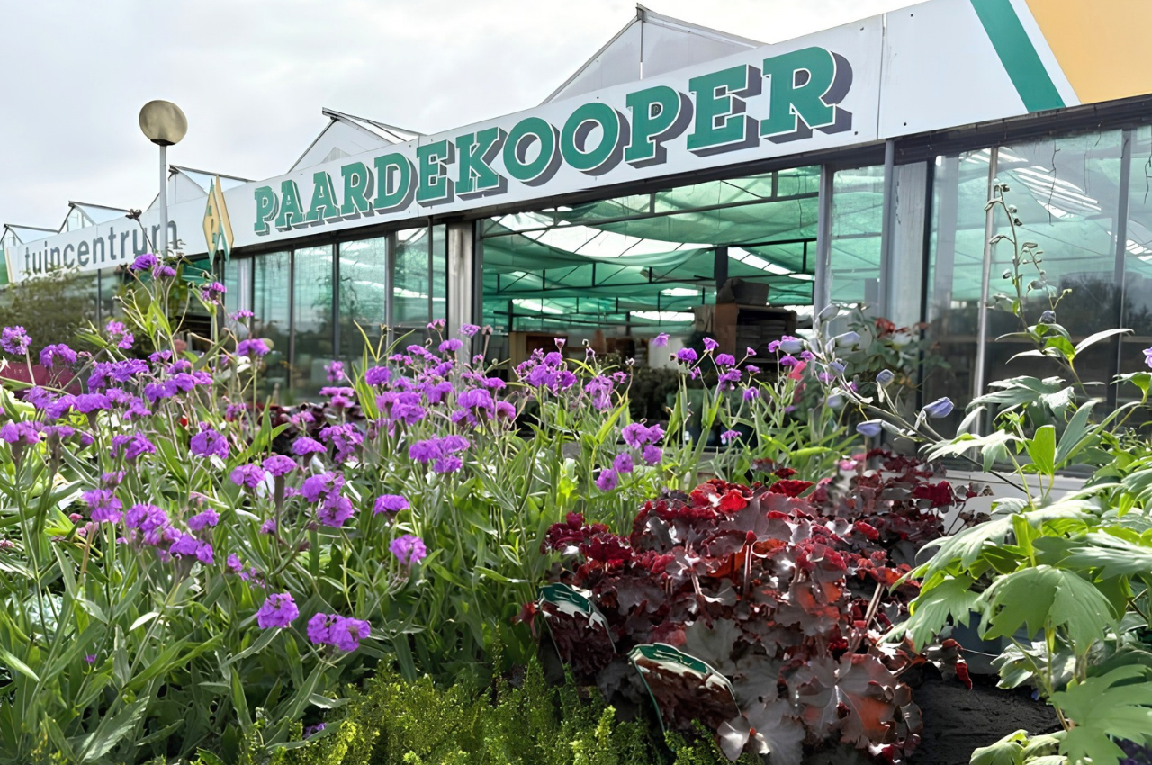Aanleg van een tuin door hoveniersbedrijf Paardekooper in Kloetinge