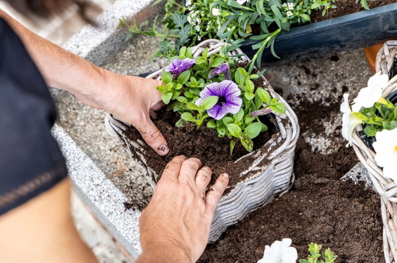 Tuinproject Paardekooper